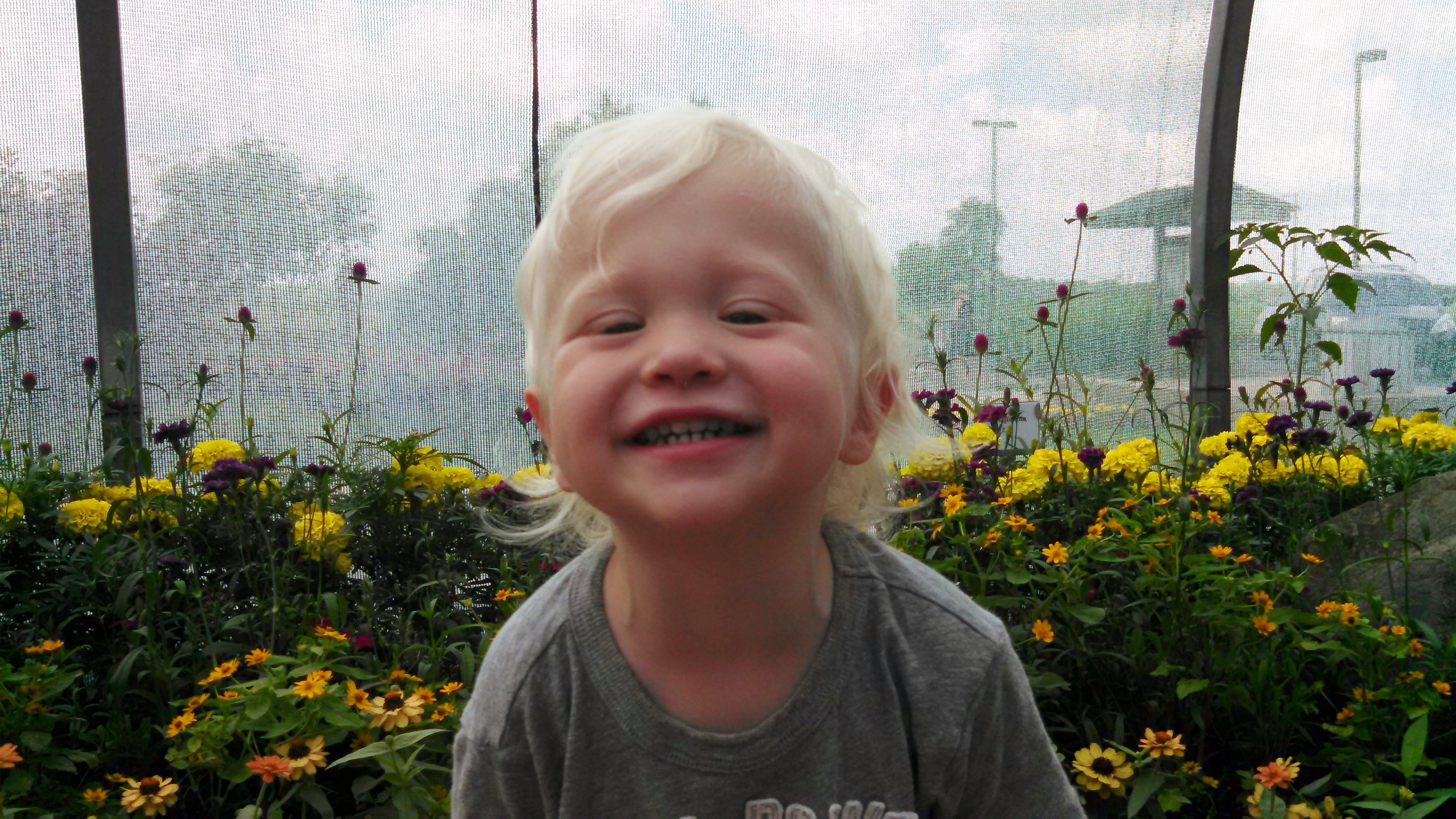 Peck Farm Butterfly House - Elizabeth Ott